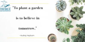 To plant a garden is to believe in tomorrow quote