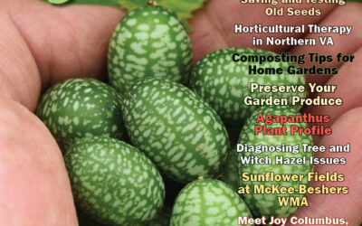 Pathway Homes’ Community Garden Featured in The Washington Gardener