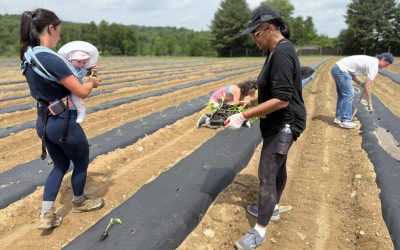 Loudoun Now – Pathway Homes Volunteers for Local Food Insecurity